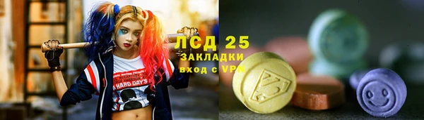 ГАЛЛЮЦИНОГЕННЫЕ ГРИБЫ Белоозёрский