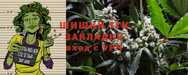 ГАЛЛЮЦИНОГЕННЫЕ ГРИБЫ Белоозёрский