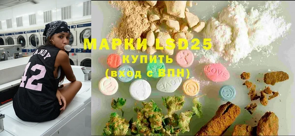 ГАЛЛЮЦИНОГЕННЫЕ ГРИБЫ Белоозёрский