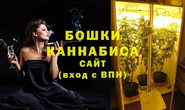 метадон Белокуриха