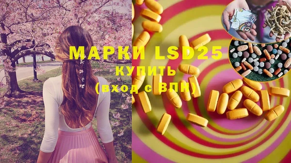 ГАЛЛЮЦИНОГЕННЫЕ ГРИБЫ Белоозёрский