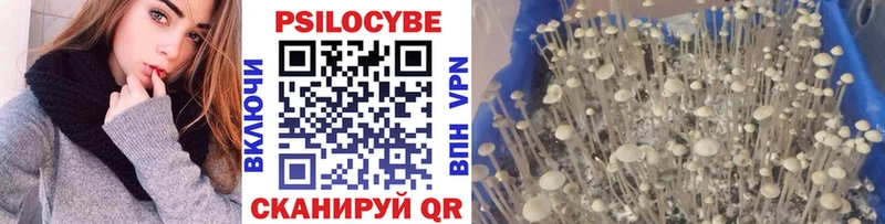 Псилоцибиновые грибы Magic Shrooms купить наркотик Гусев