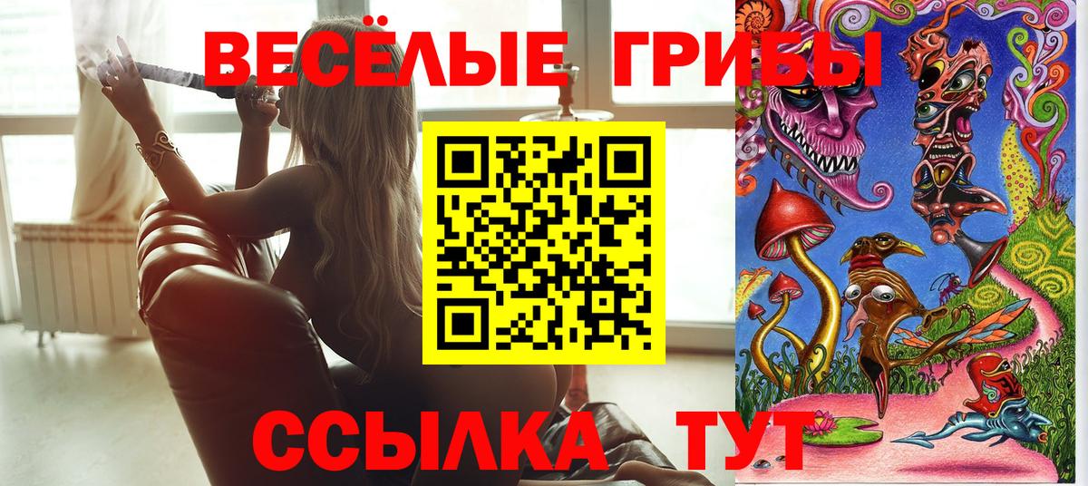 Галлюциногенные грибы MAGIC MUSHROOMS Гусев