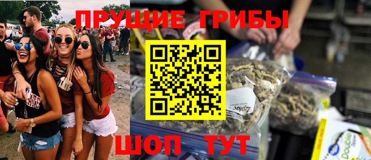 Галлюциногенные грибы прущие грибы  Гусев 