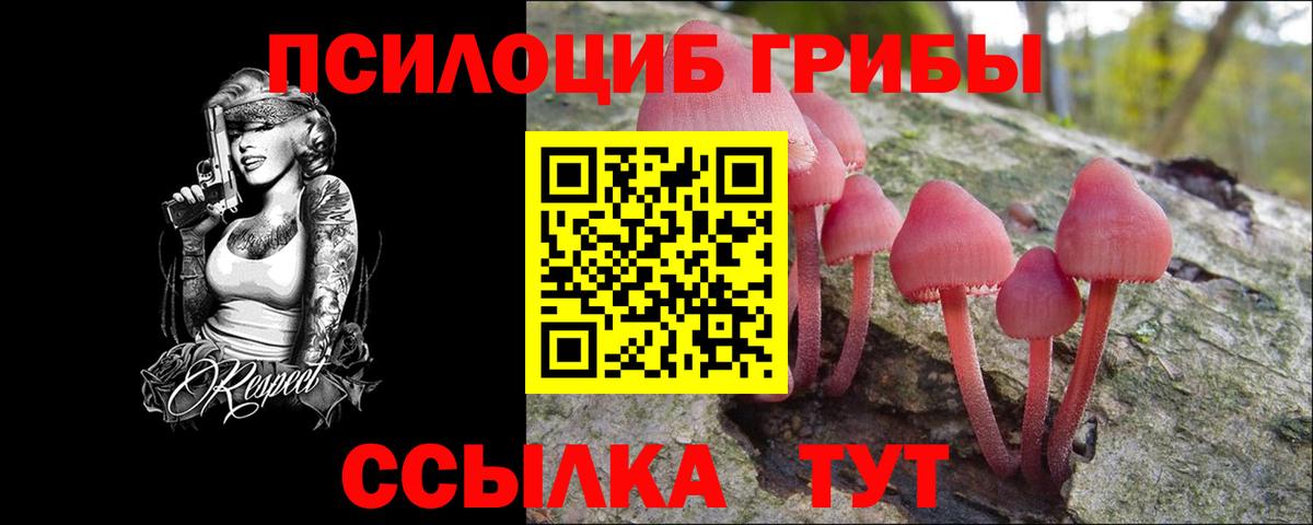 Гусев  Псилоцибиновые грибы GOLDEN TEACHER  Вход с VPN 
